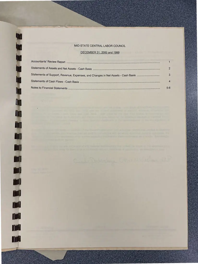 Photograph of a financial report: Midstate Central Labor Council financial report, 2000 and 1999, page 3.