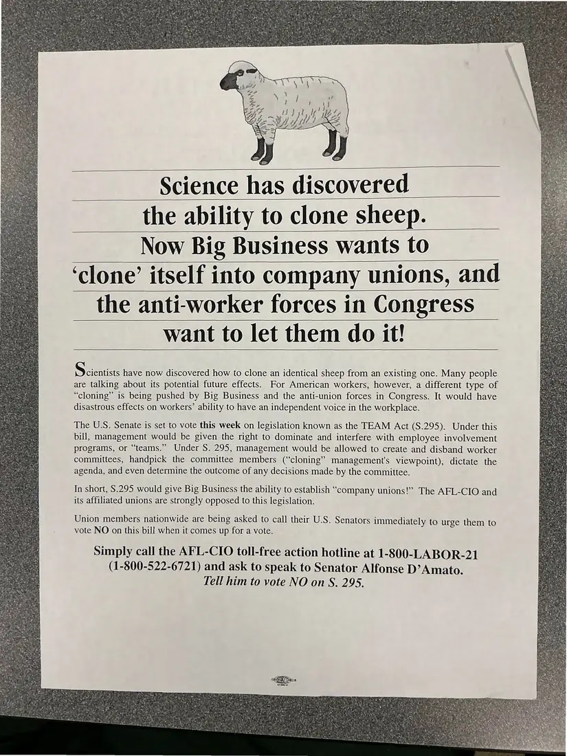 Photograph of a flyer: LABOR ALERT on the TEAM Act (S. 295), with “clone sheep” flyer, page 2.