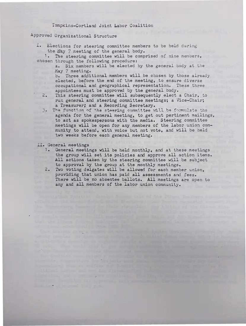 Photograph of a printed constitution: Approved organizational structure, page 1.